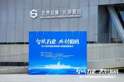 共创低代码，驱动数字经济创新发展——2023低代码技术应用与创新发展峰会暨万企软件生态大会隆重举行